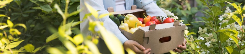 Всегда на связи